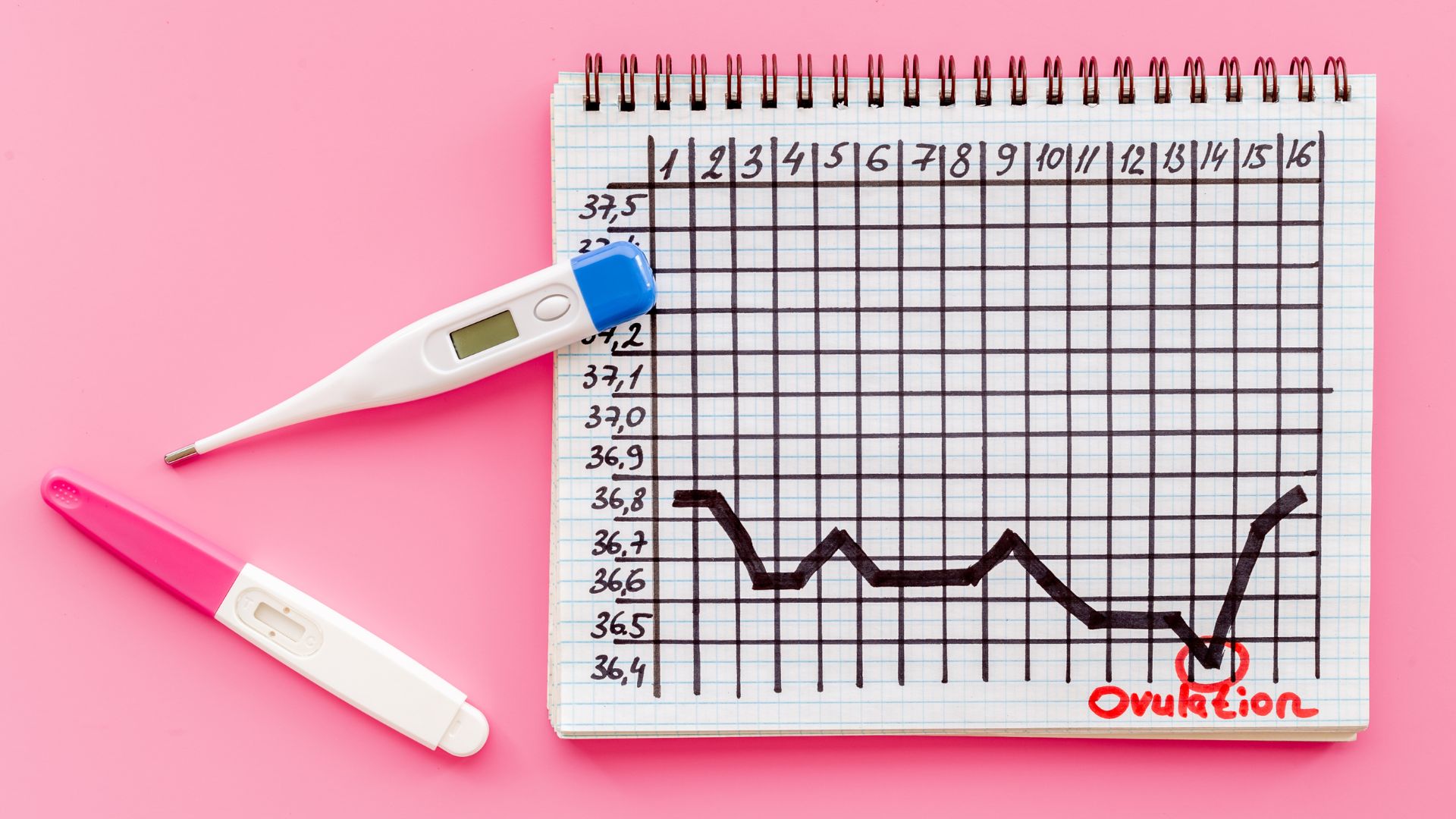 Mitos comunes sobre ovulación y fertilidad: lo que sí y lo que no es verdad