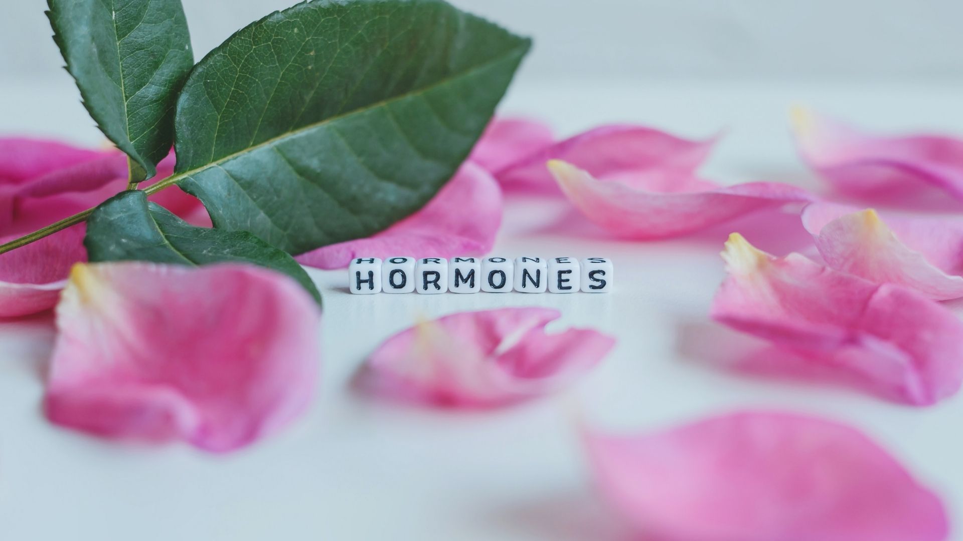 Hormonas y ansiedad: ¿qué relación tienen y cómo afectan tu bienestar?