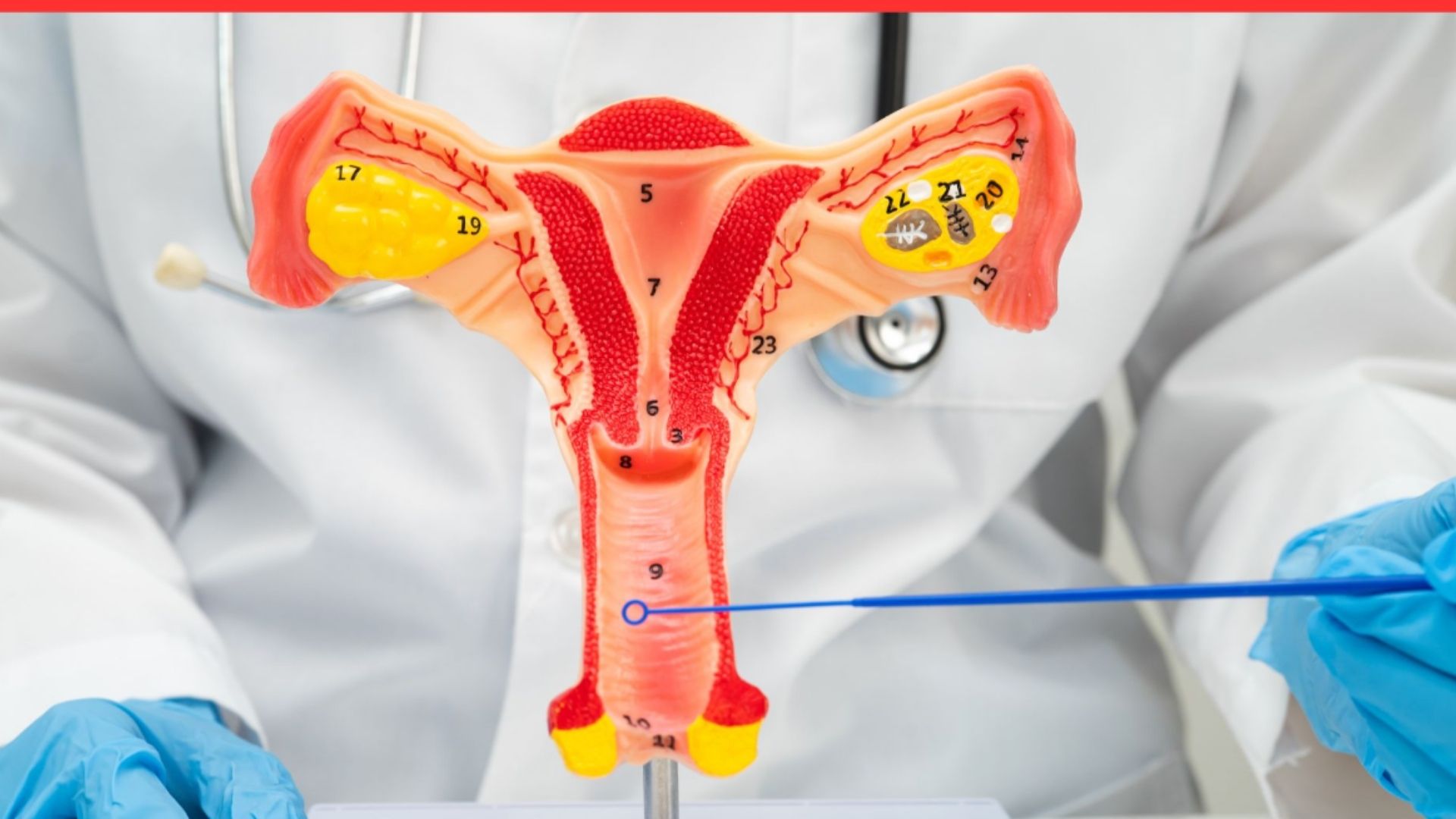 Guía médica para lidiar con flujo vaginal anormal: causas, señales de alerta y tratamiento